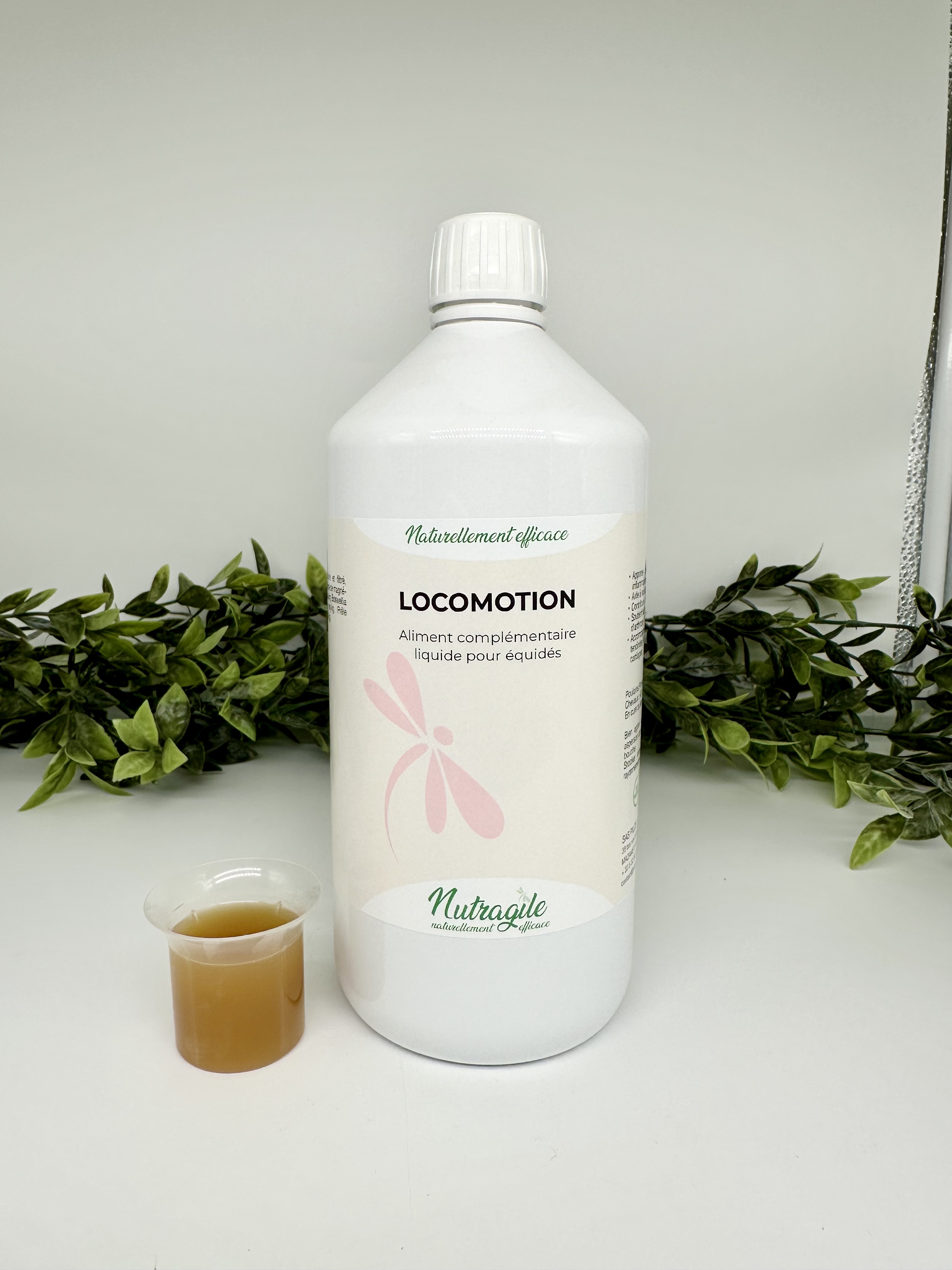 NUTRAGILE Locomotion