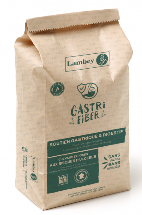 Lambey Gastri Fiber