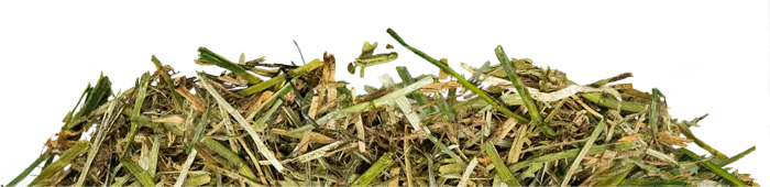 Hartog  Lucerne Plus