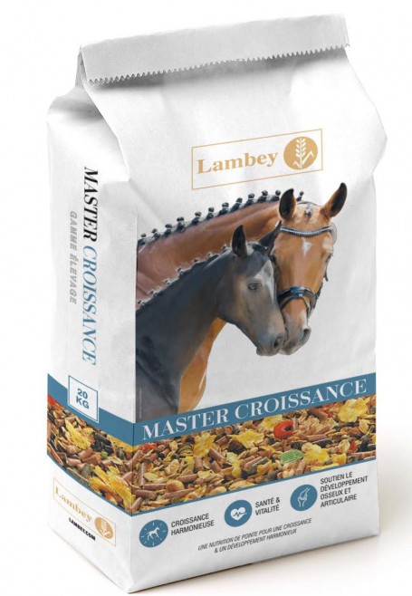 Lambey Master Croissance
