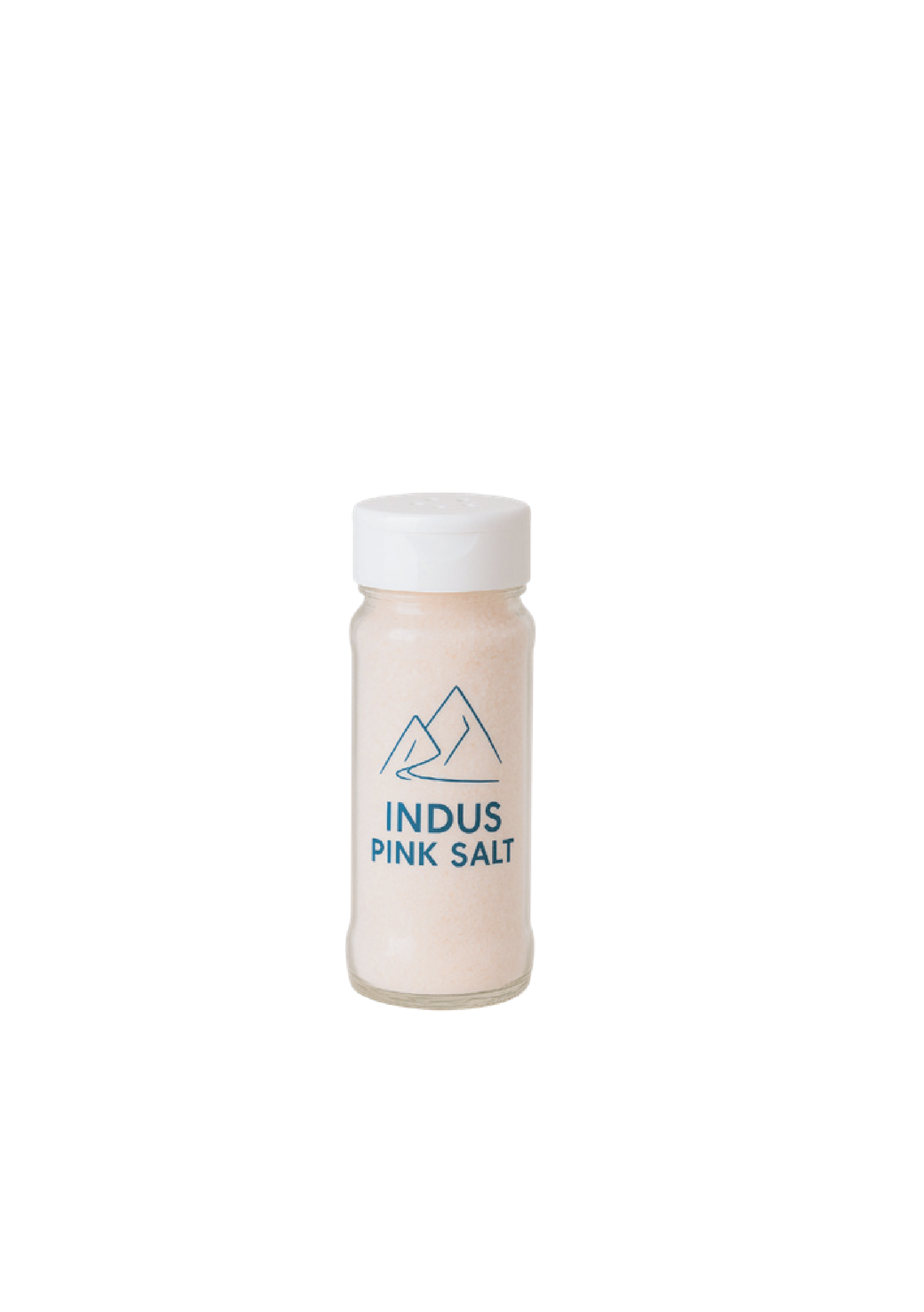 Fine Salt – 400g Plastic Shaker