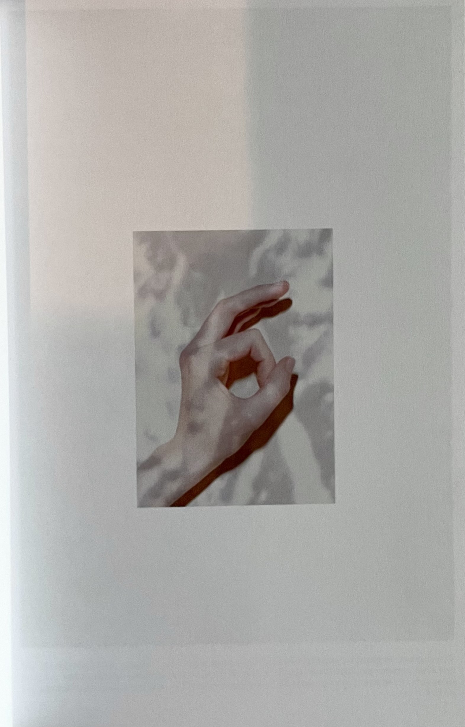 MM6 Maison Margiela A/W 2013 catalog