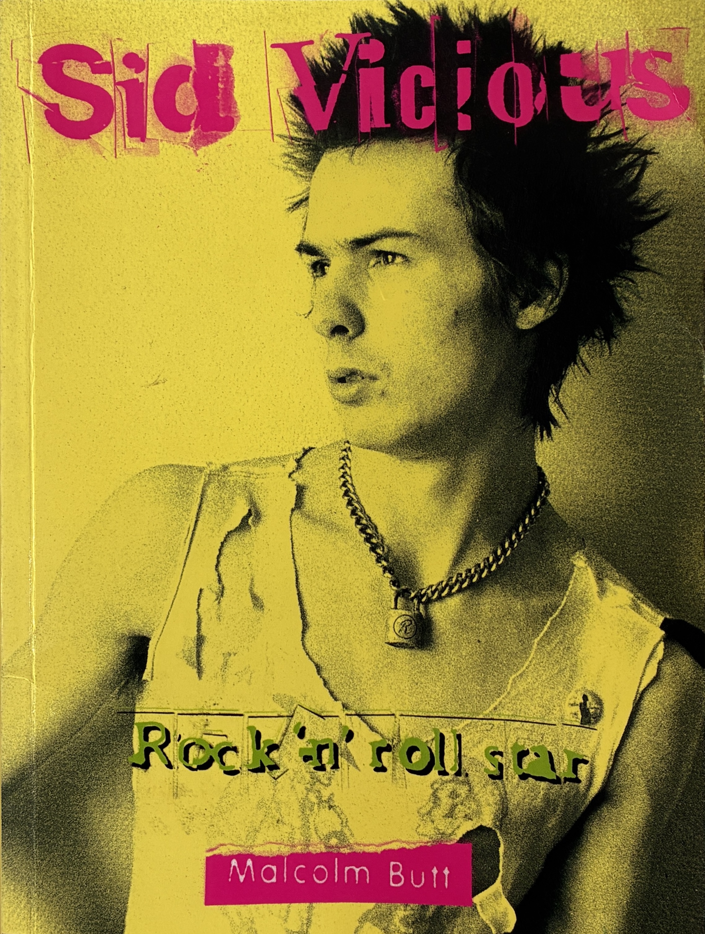 Sid Vicious: Rock 'n' Roll Star Malcolm Butt