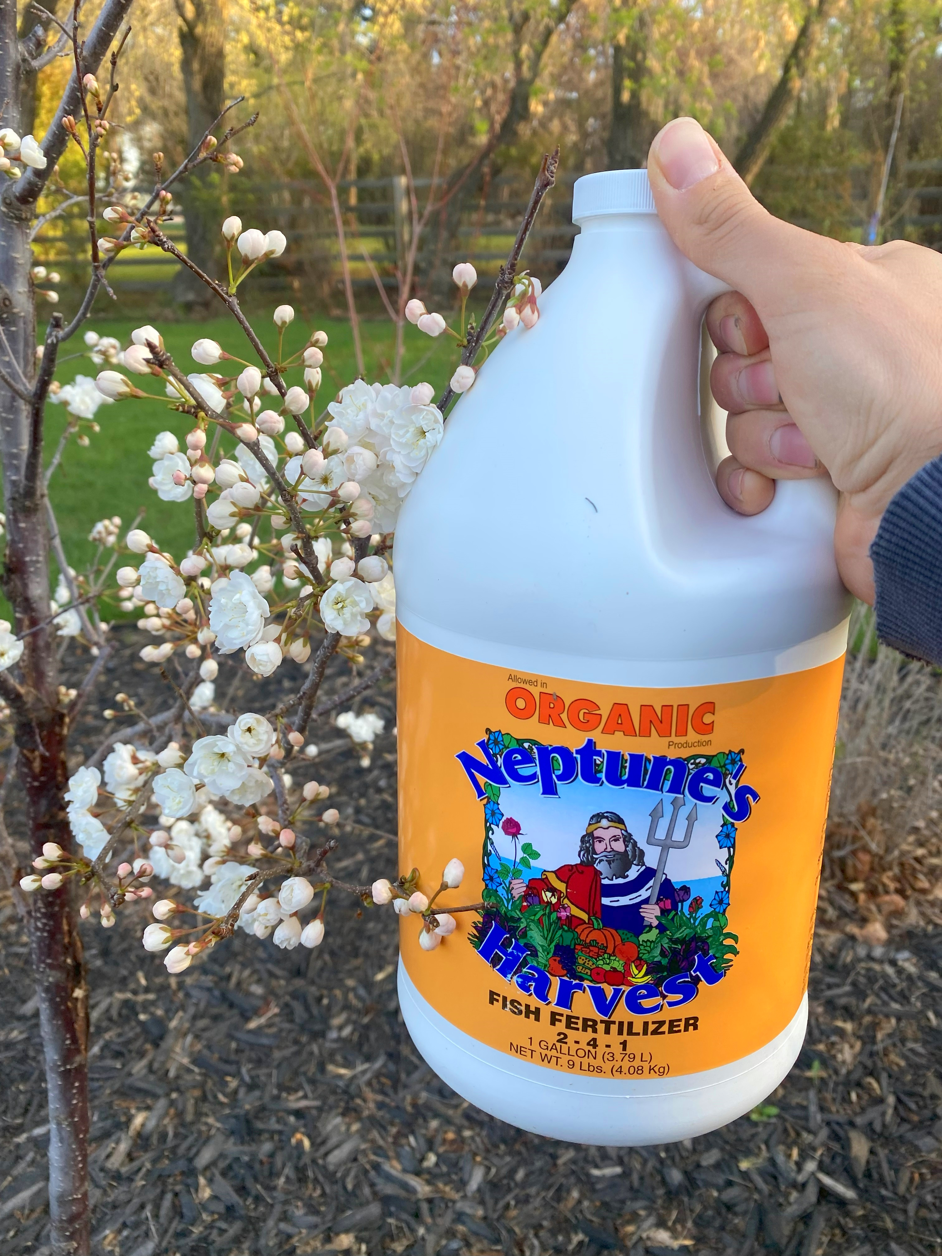 Neptune's Harvest Fish Fertilizer