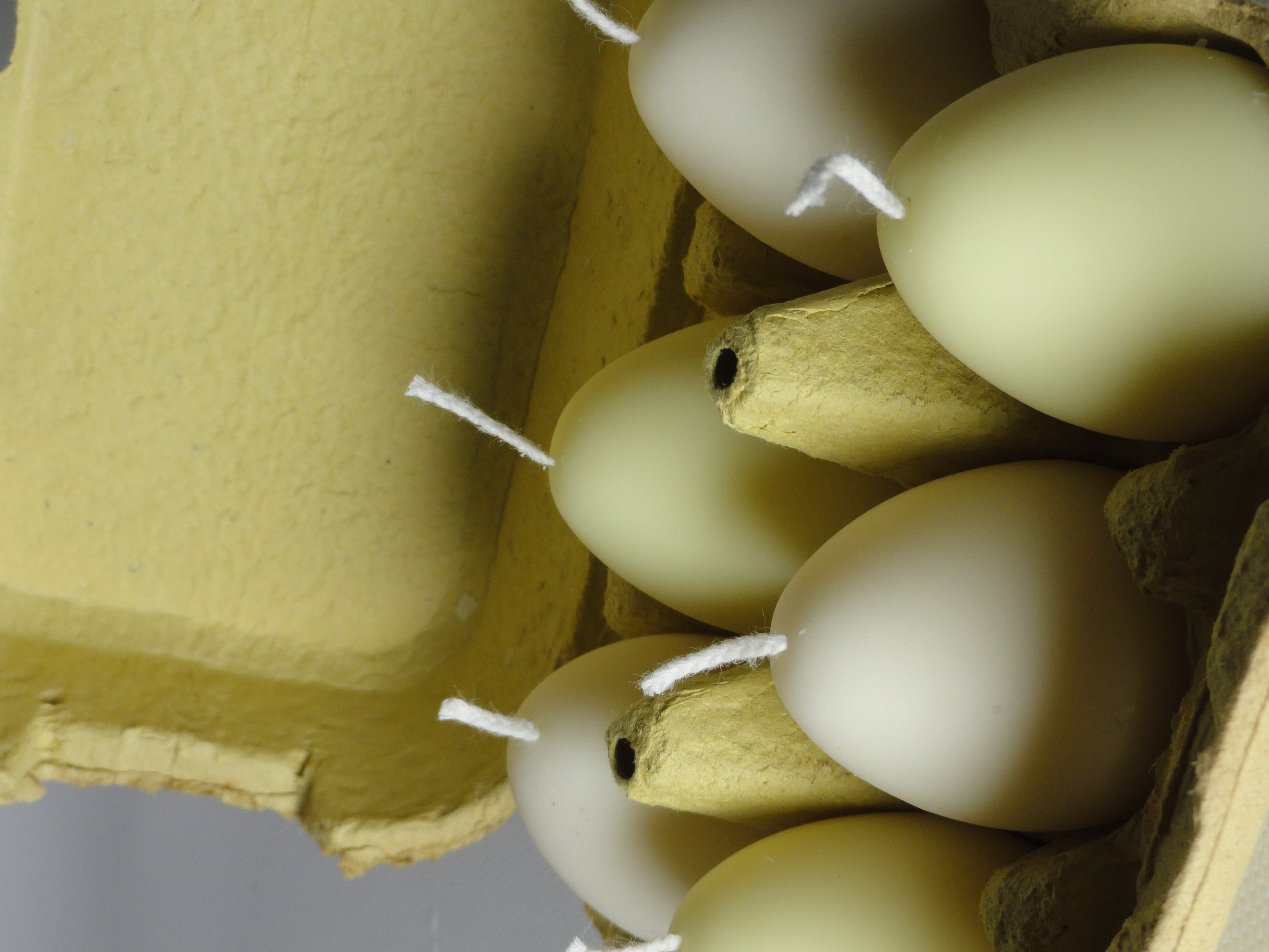 Set eieren (6 stuks) 