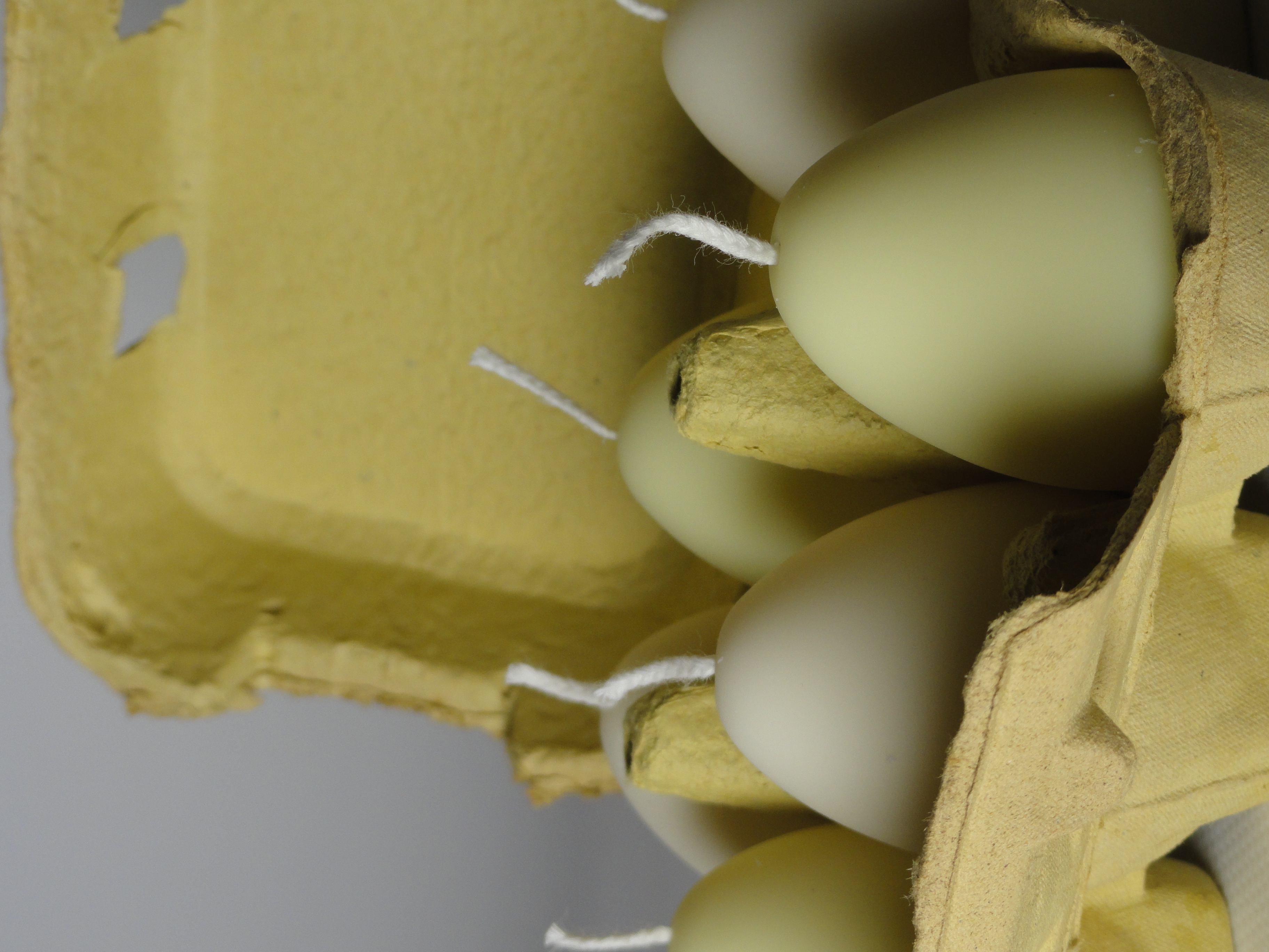 Set eieren (6 stuks) 