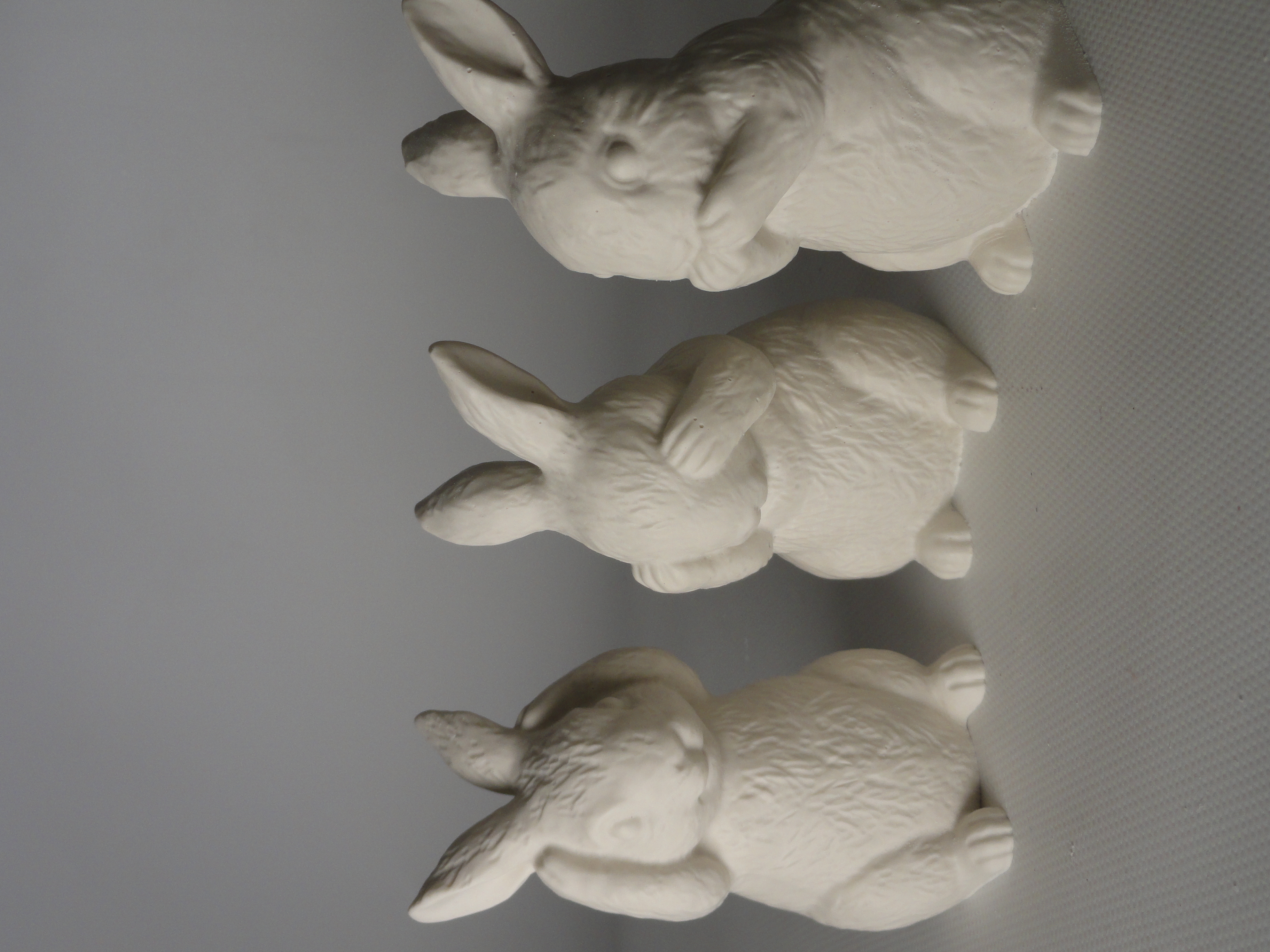 Horen, zien en zwijgen - konijntjes 