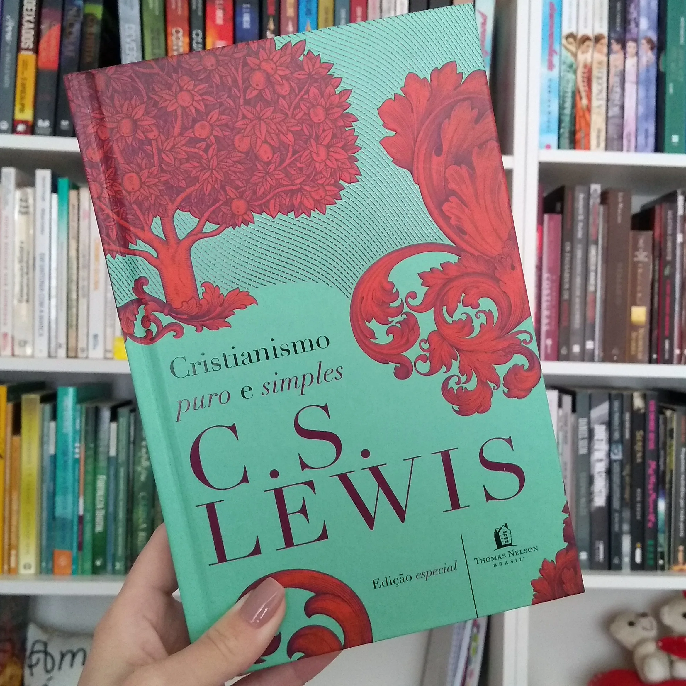 Cristianismo puro e simples - Capa Dura