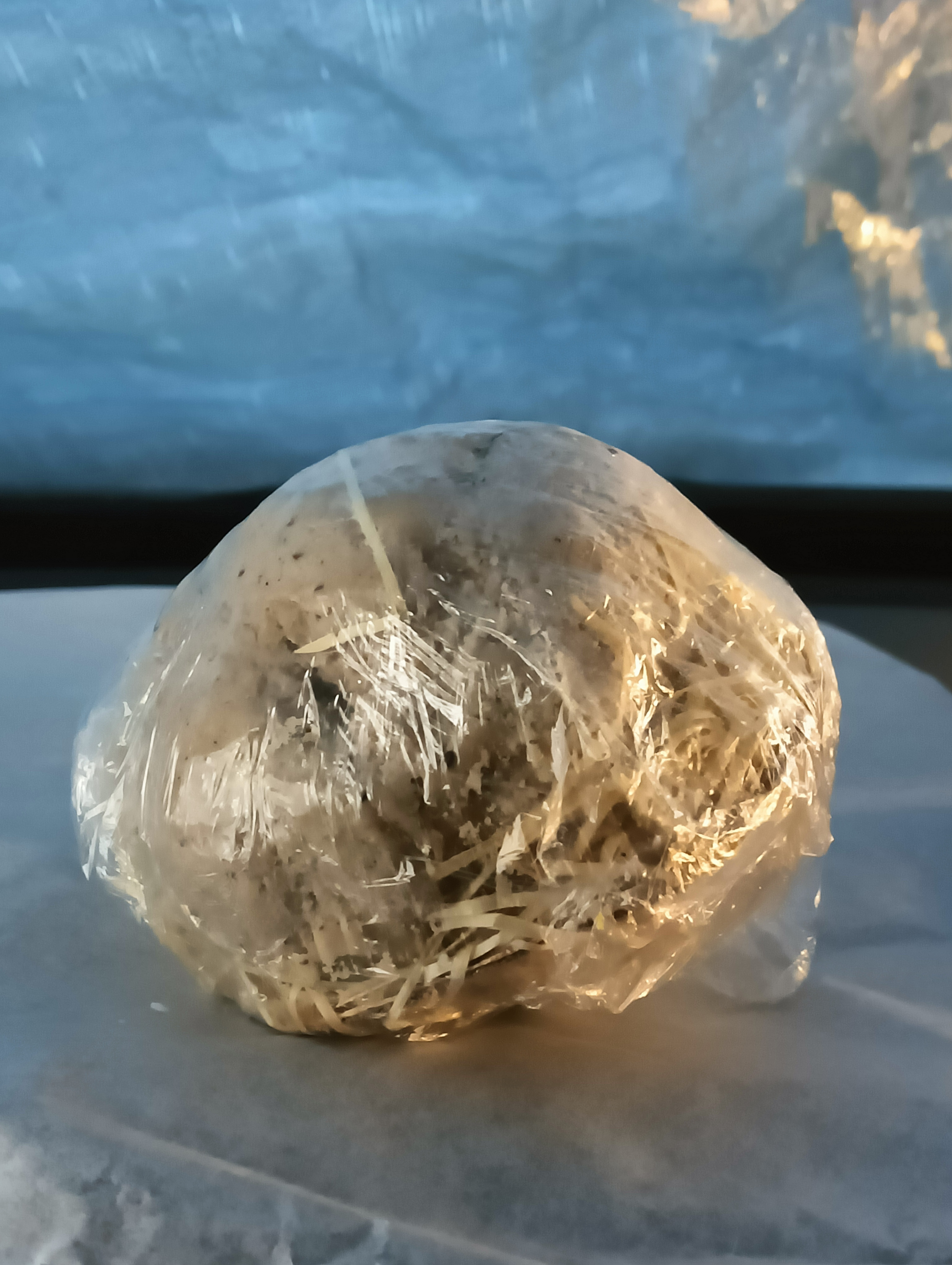 Gaia Soap
