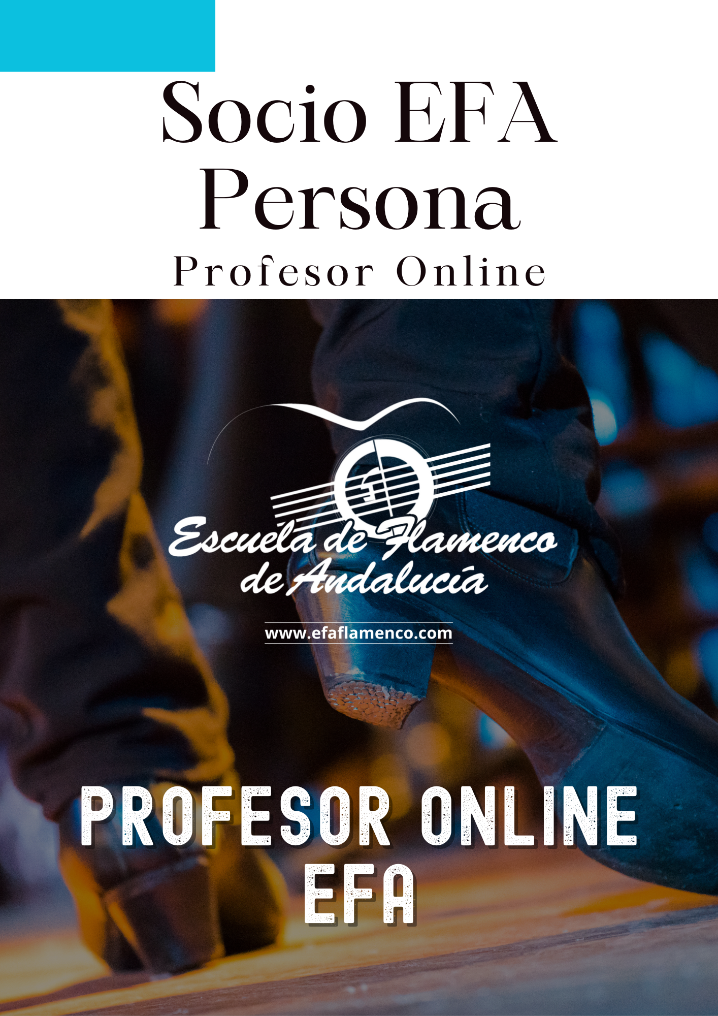 Profesor Online EFA