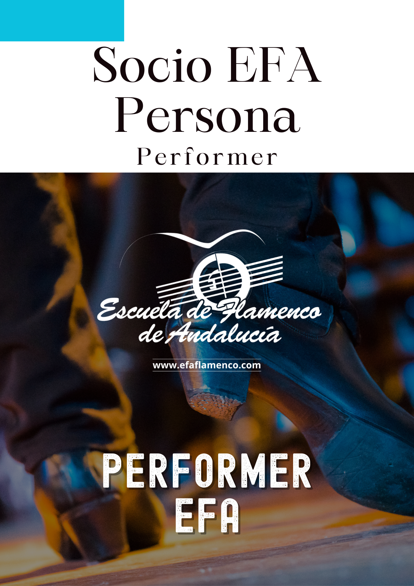 Performer EFA