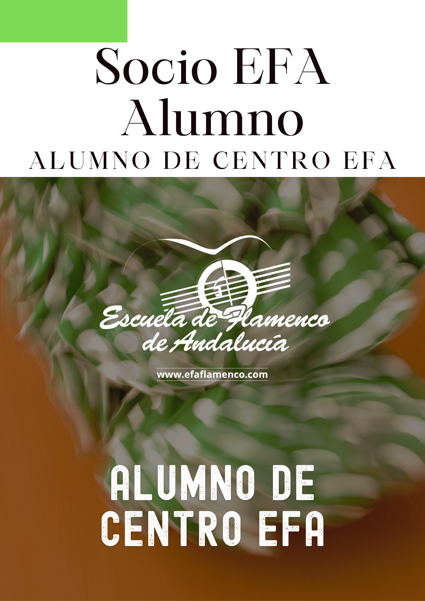 Alumno de Centro EFA