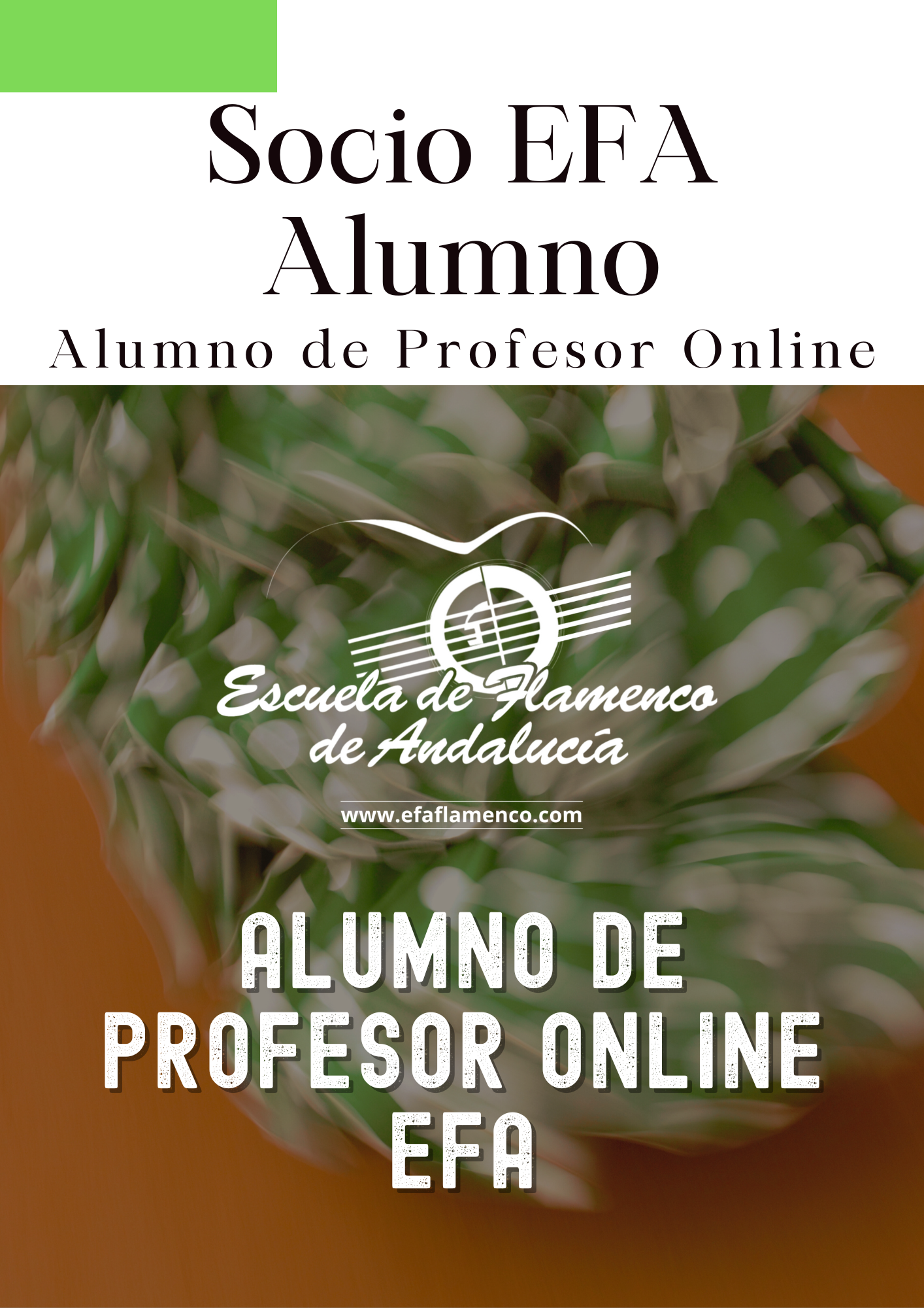 Alumno de Profesor Online EFA