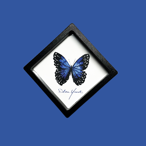 Mariposas corazón | Edición Diamante