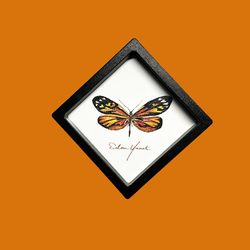 Mariposas corazón | Edición Diamante