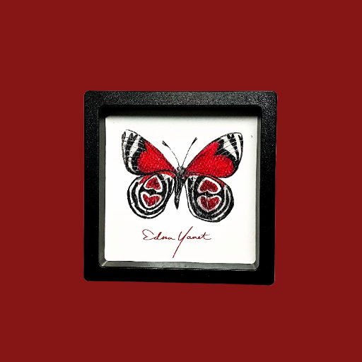 Mariposas corazón | Edición Cuadrada
