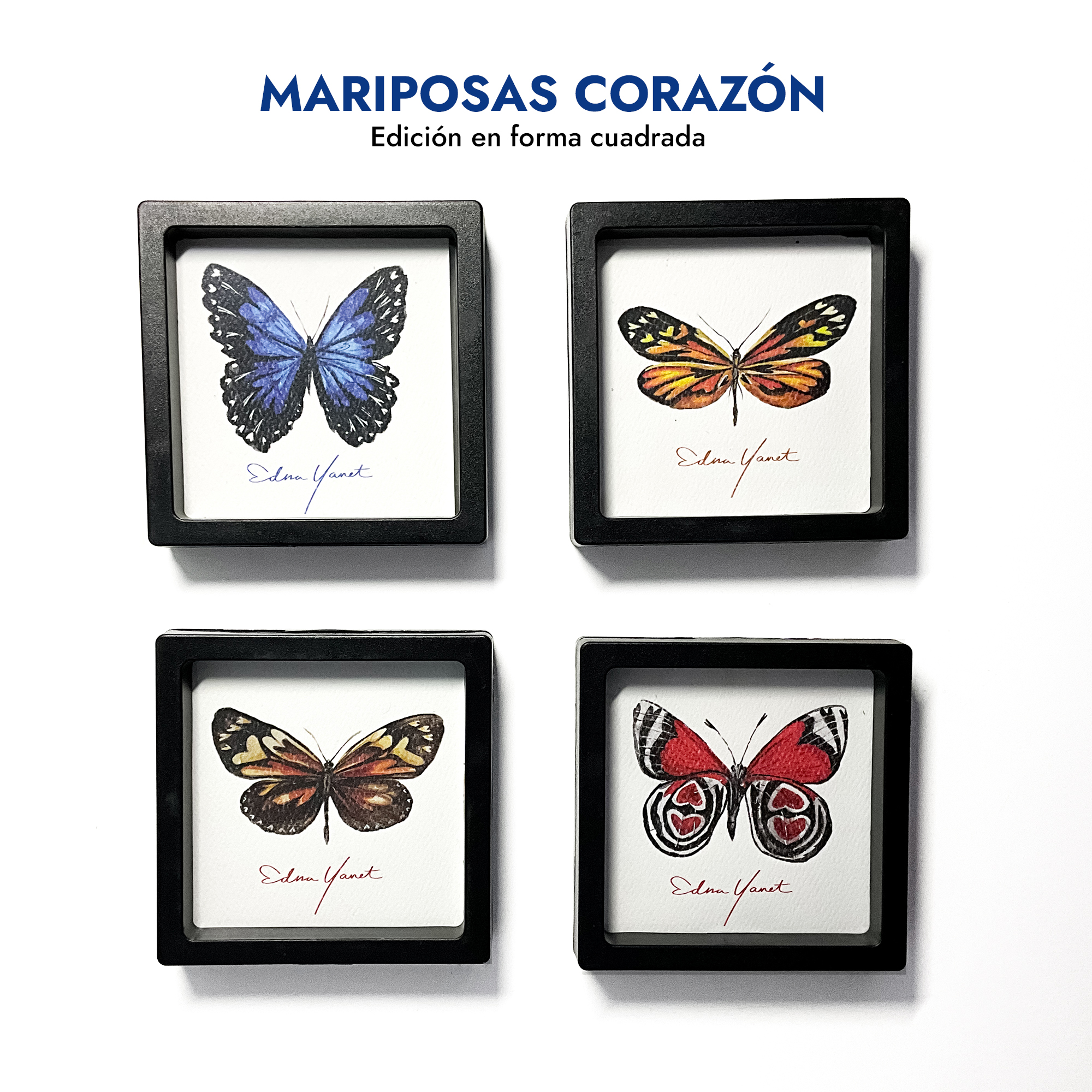 Mariposas corazón | Edición Cuadrada