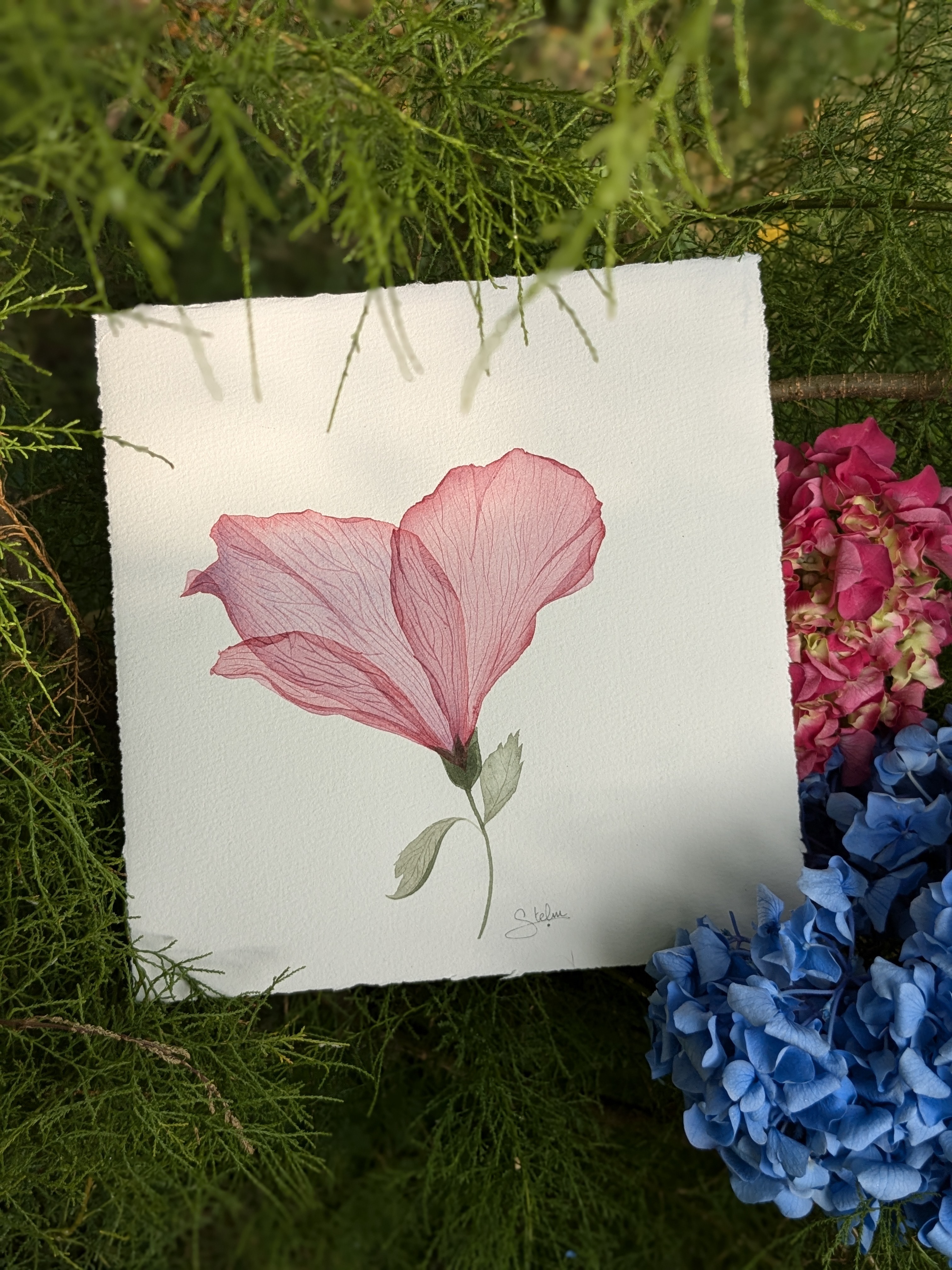 Art aquarelle et poésie