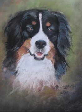Custom pastel pet Portraits 500.00 prices vary 