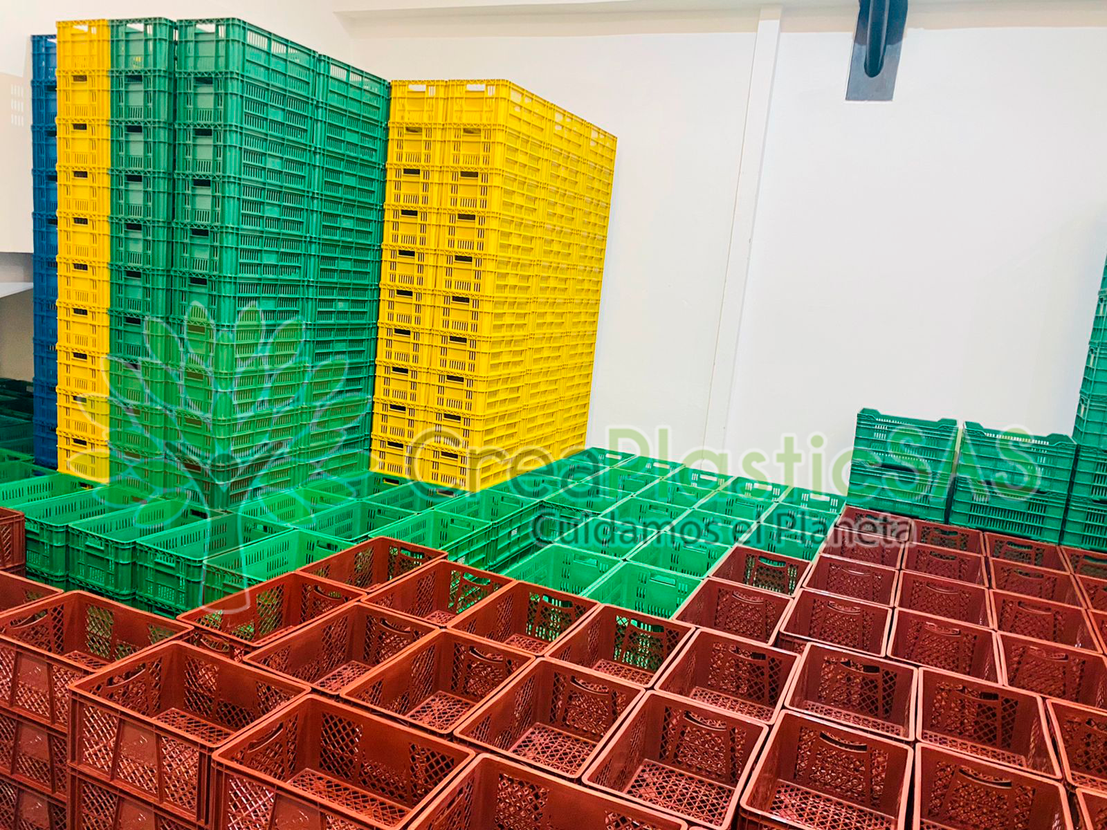 Canastilla plana o Fruver 