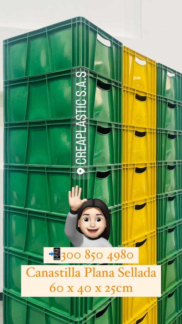 Canastilla plana o Fruver 