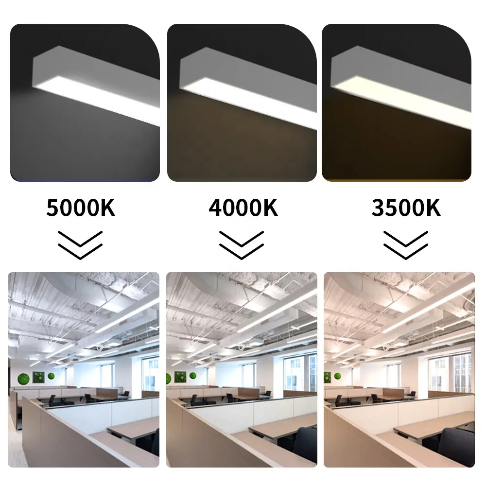 Modern LED Ceiling Lights