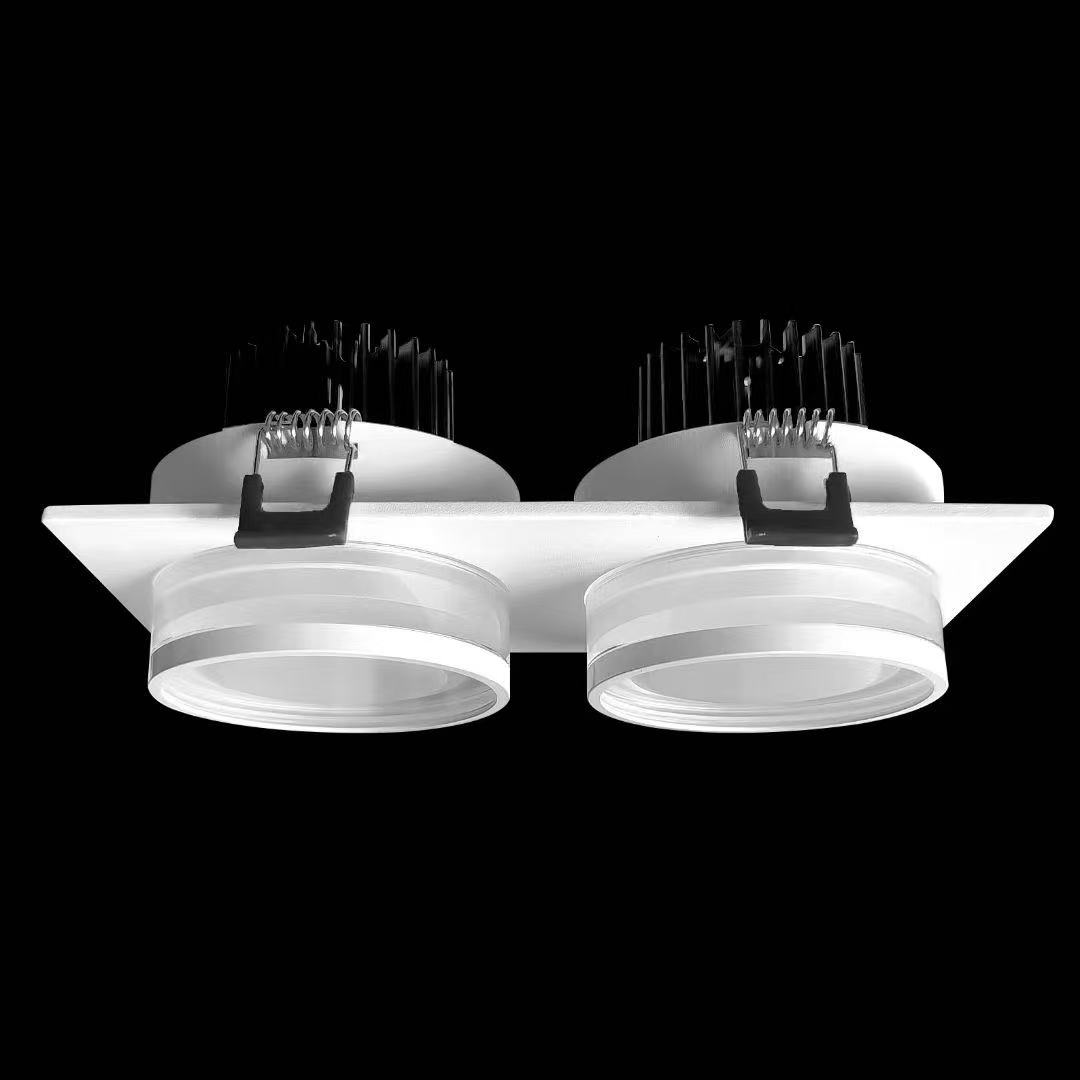 Double LED Downlight