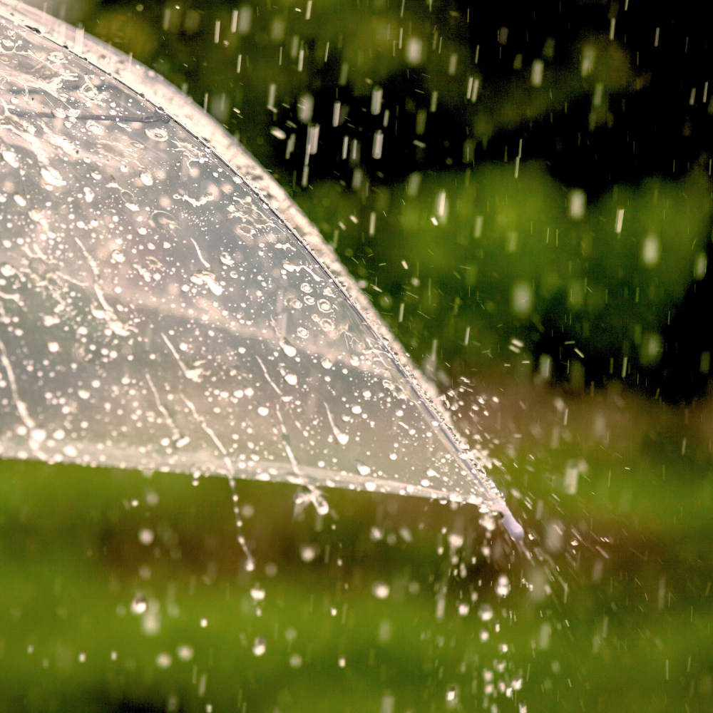 When the Rain Stops (웬 더 레인 스탑스)