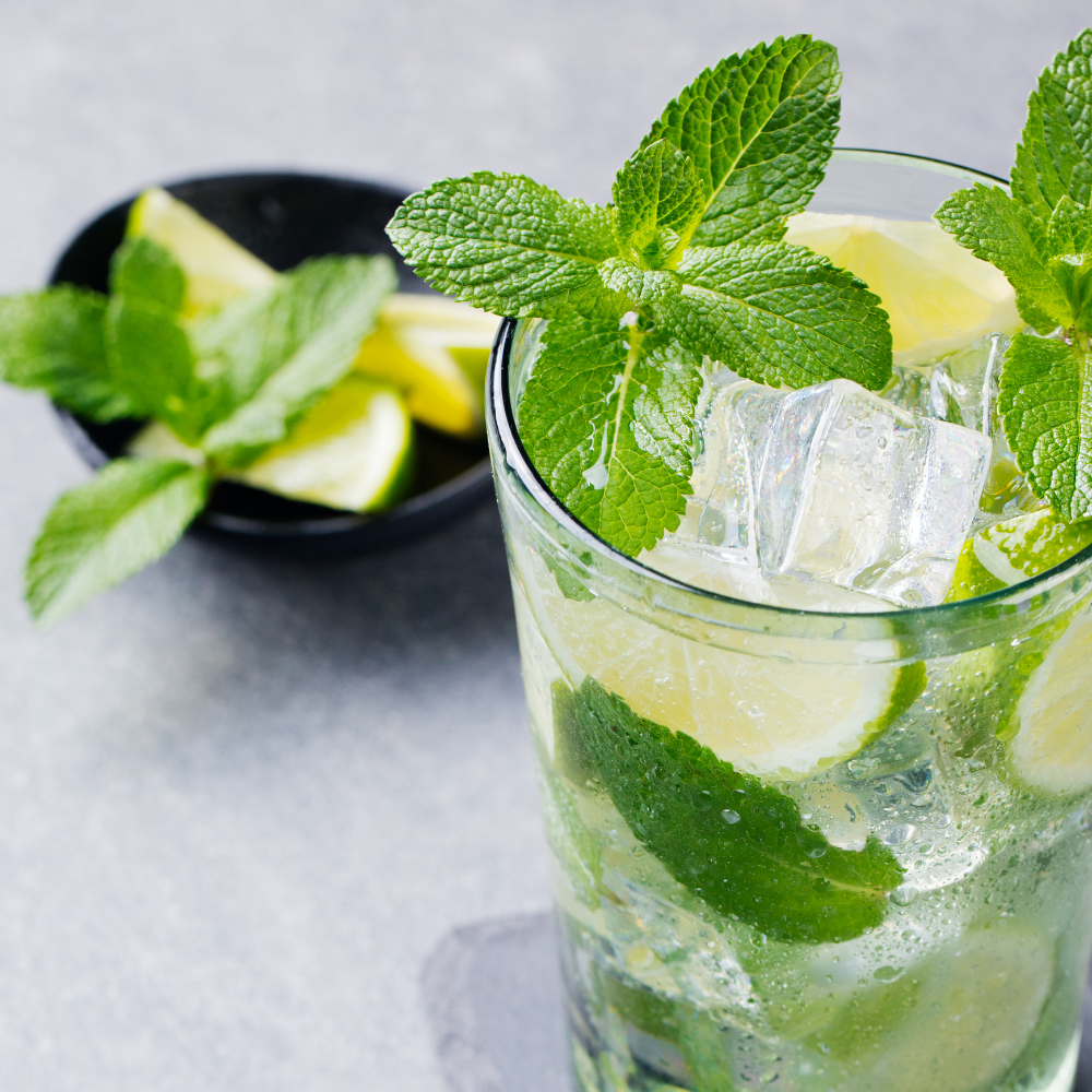 Eucalyptus & Spearmint (유칼립투스 & 스피어민트)