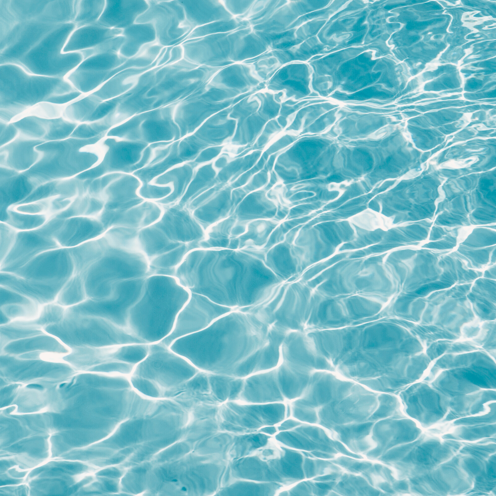 Aventus (어벤투스)