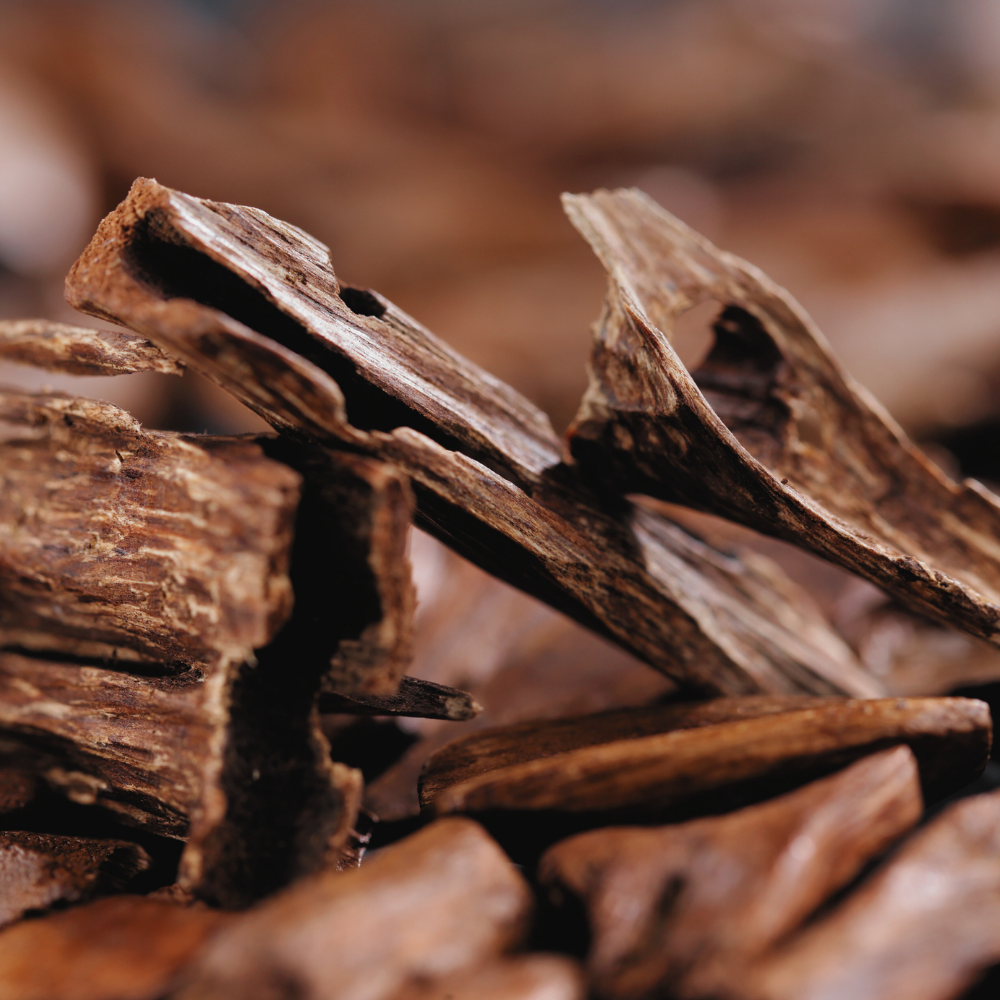 Oud Accord (오우드 어코드) 