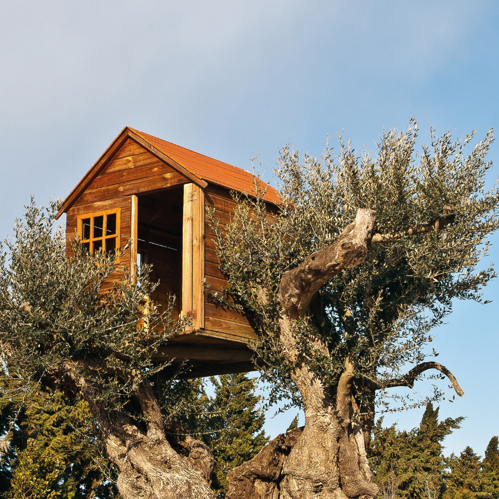 Tree House (트리 하우스)