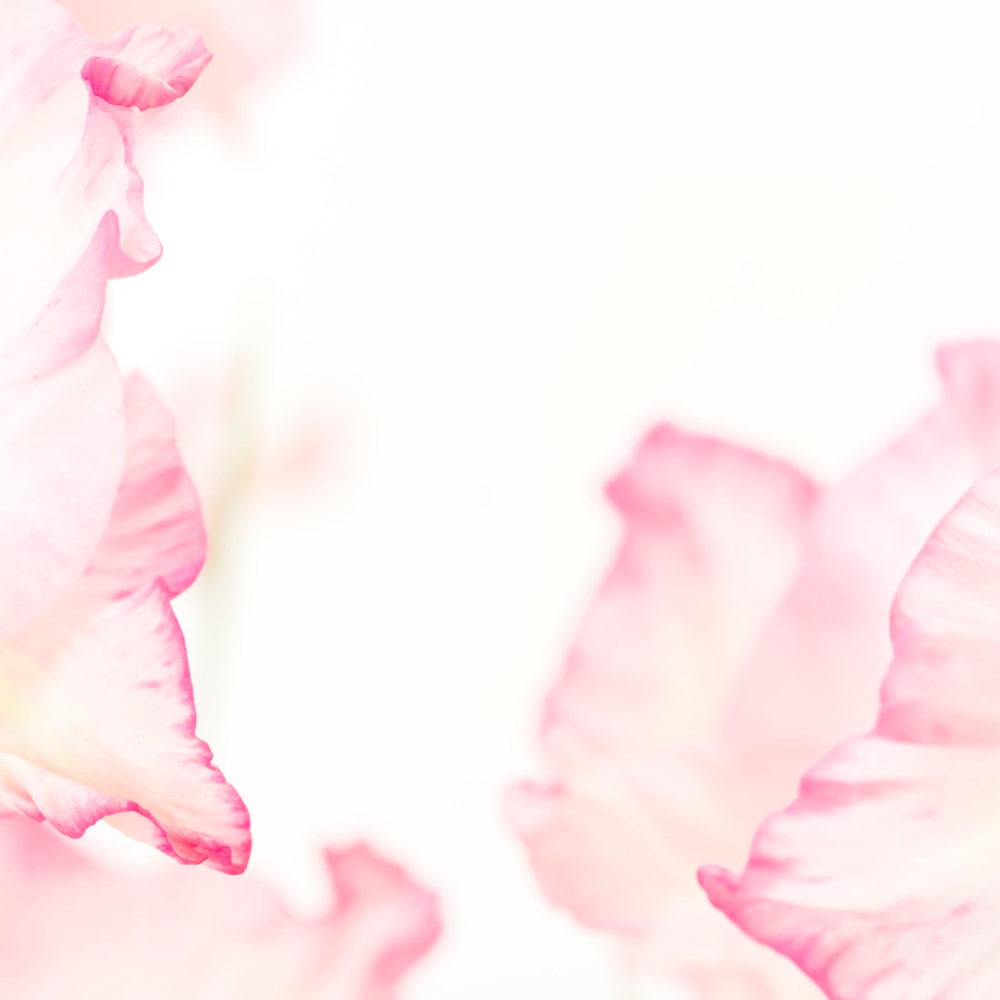 Fleur de Peau (플레르 드 뽀)