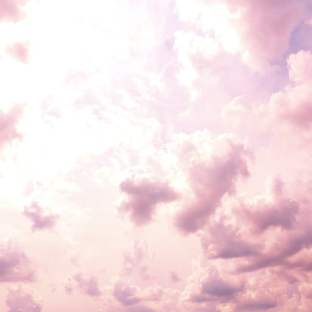 Sugarcane & Vanilla (사탕수수밭 & 바닐라)