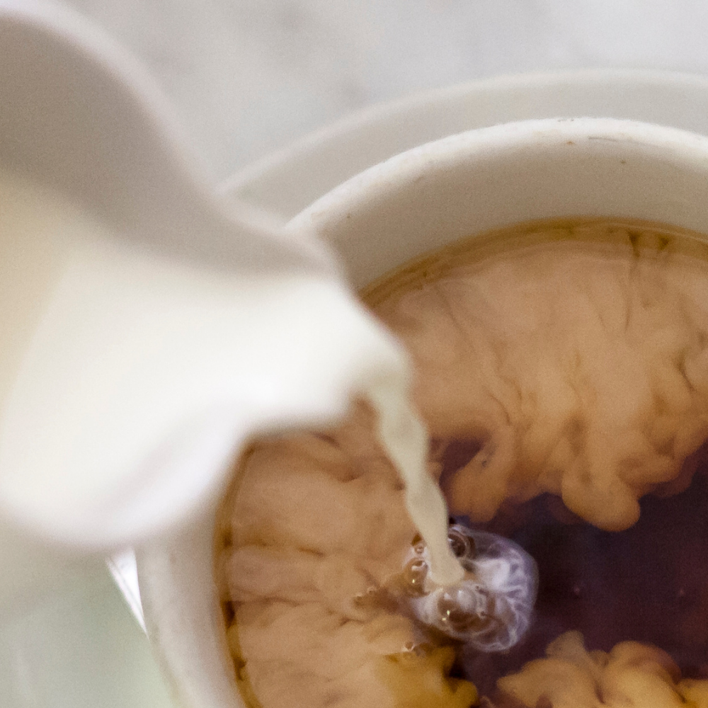 Warm Milk (따뜻한 우유)