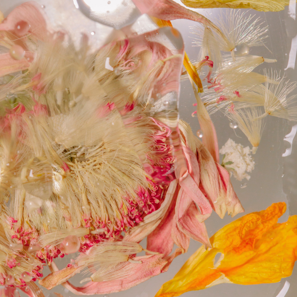 Angel di Firenze (엔젤 디 피렌체)