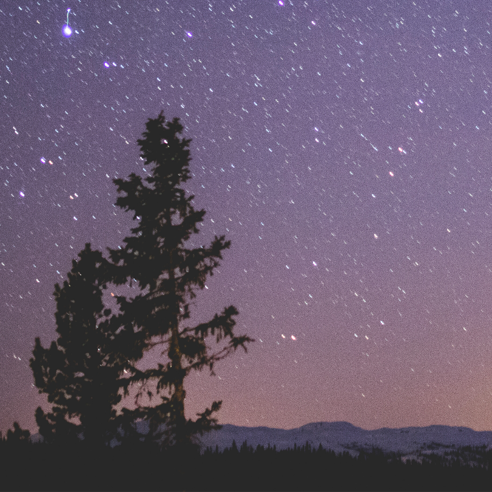 Nuit de Cellophane (뉘 드 셀로판)