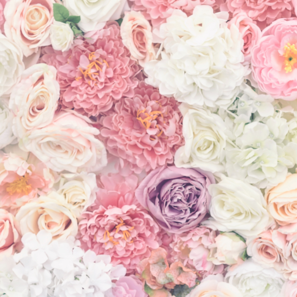 Powdery Floral (파우더리 플로럴)