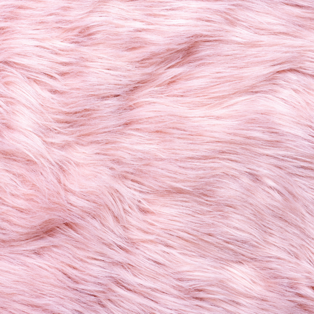 Viva La Juicy (비바 라 쥬시)