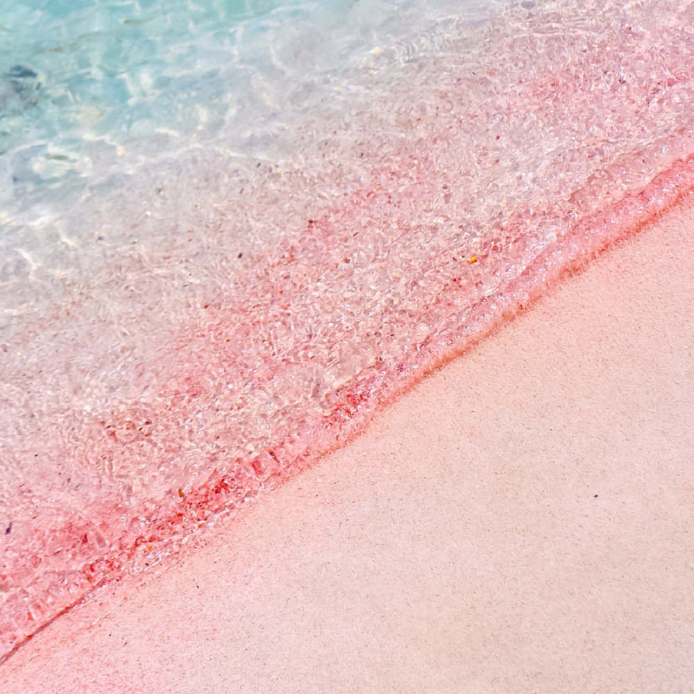 Pink Sands (핑크 샌드)