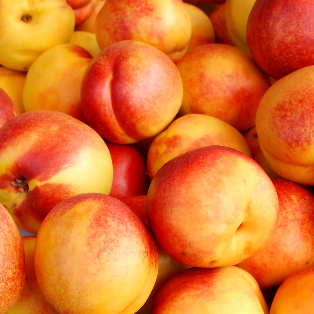 Nectarine Blossom & Honey (넥타린 블로썸 & 허니)