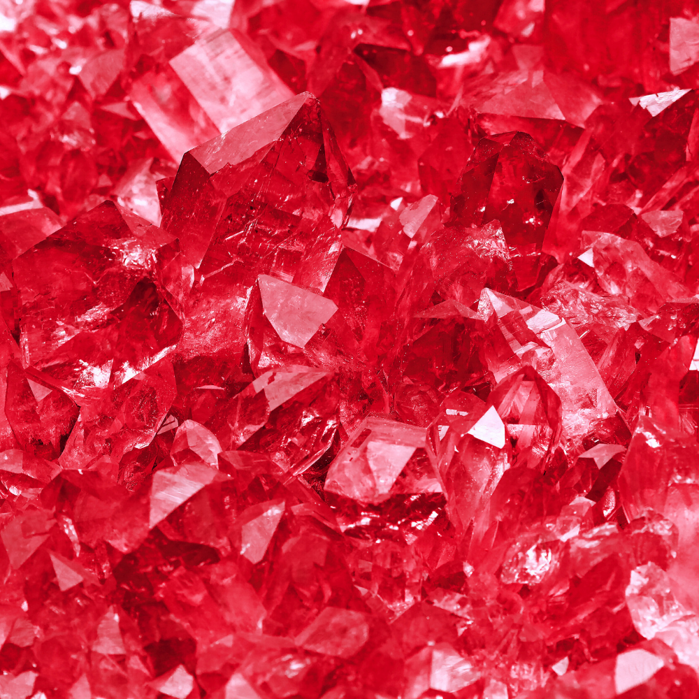 Rhubarbe Écarlate (루바브 에칼라트)