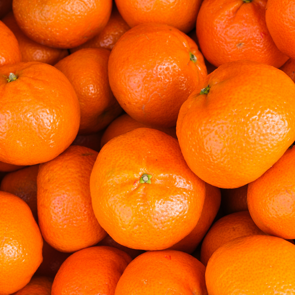 Oyedo / Mandarin & Citrus (오에도 (만다린&시트러스))