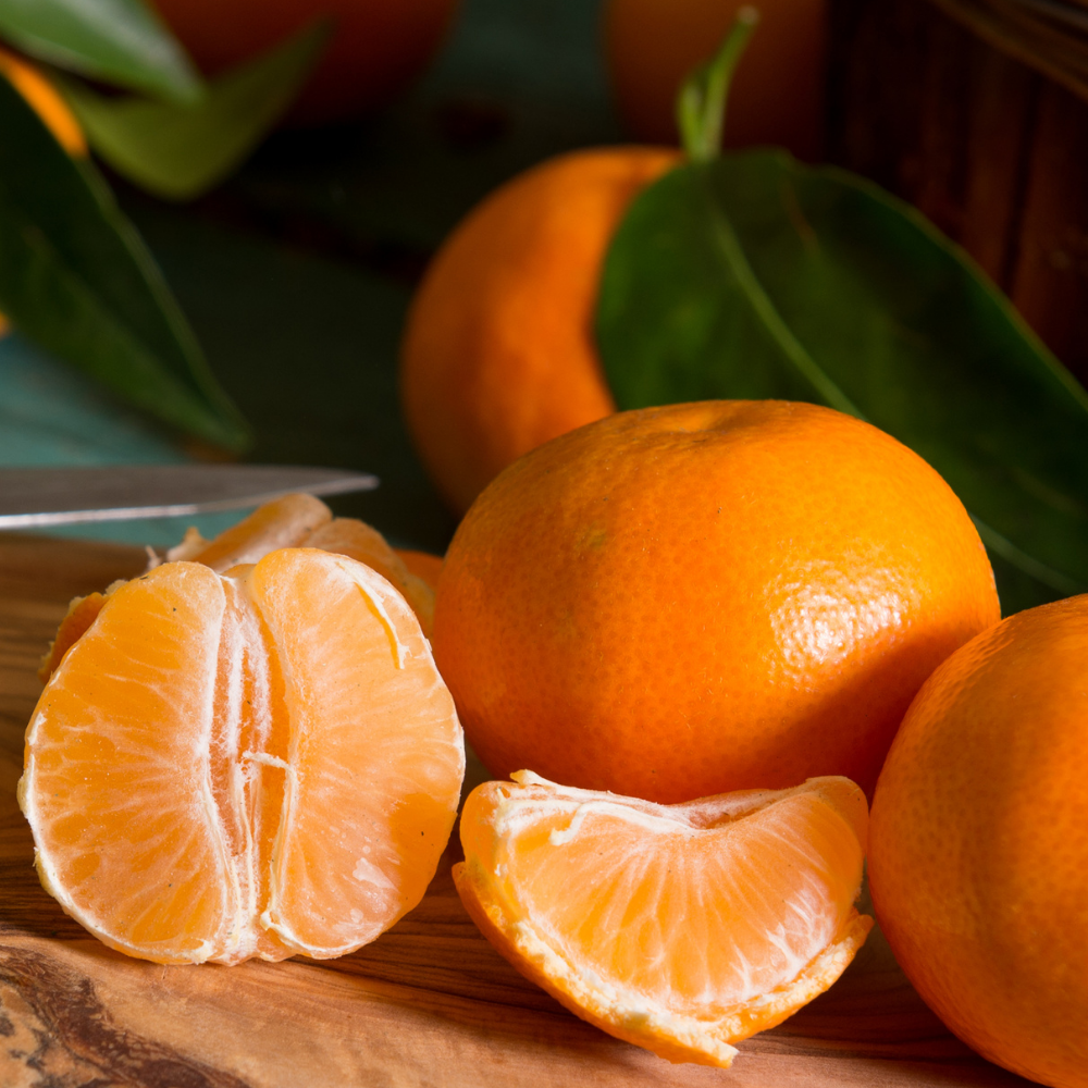 Bitter Mandarin (비터만다린)