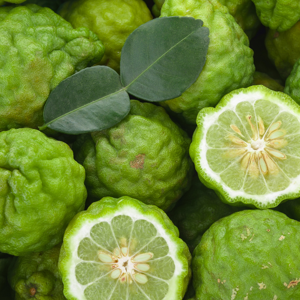 Bergamot (버가못)