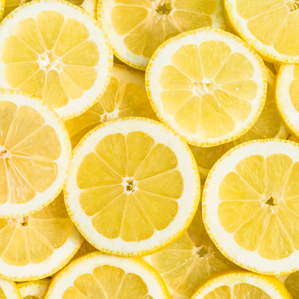 Bitter Lemon (비터 레몬)