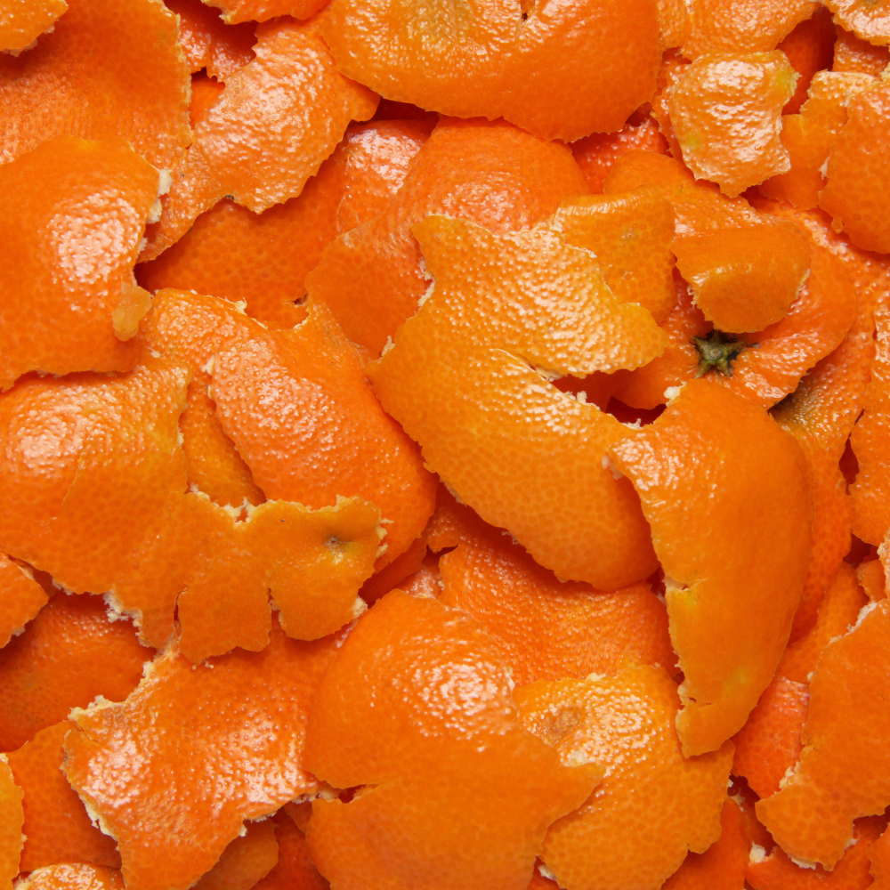 Orange Peel / Rind (오렌지필 (라인드))