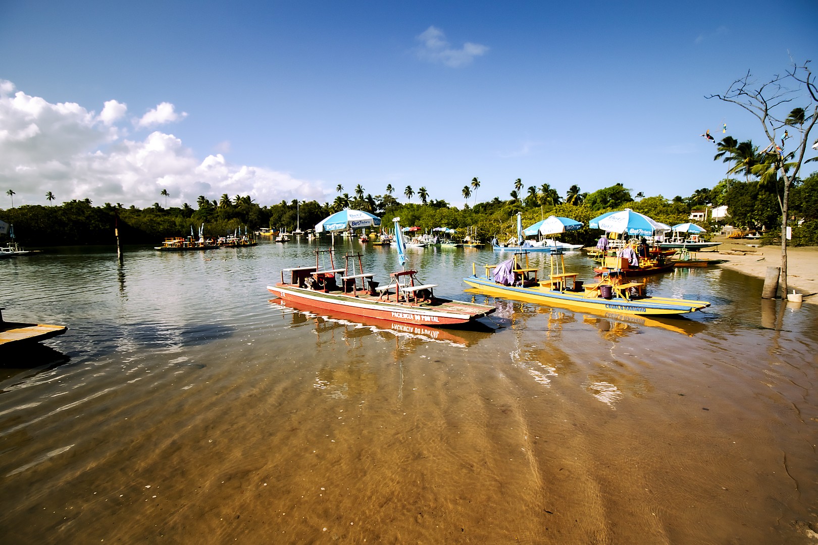 Mangue de Maracaípe