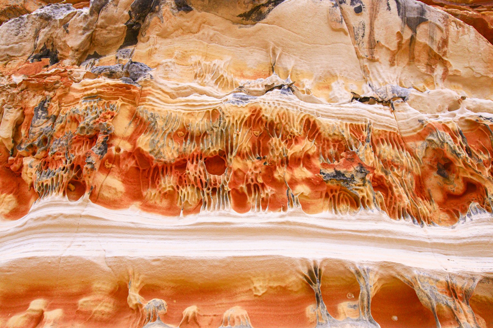 Nas Trilhas do Catimbau