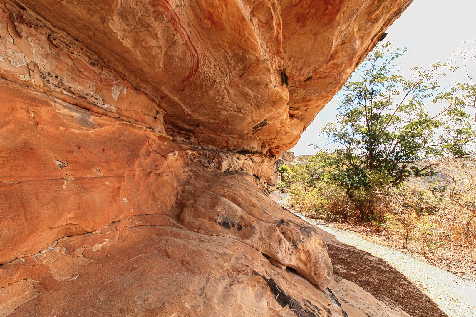 As Trilhas do Sertão 03